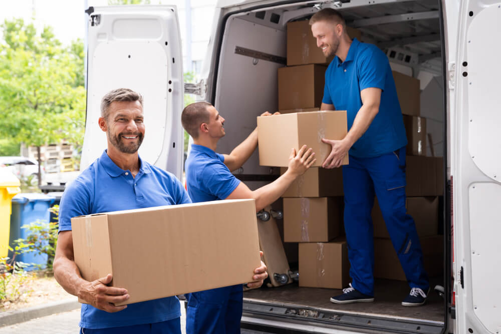 Packing and Relocation Experts